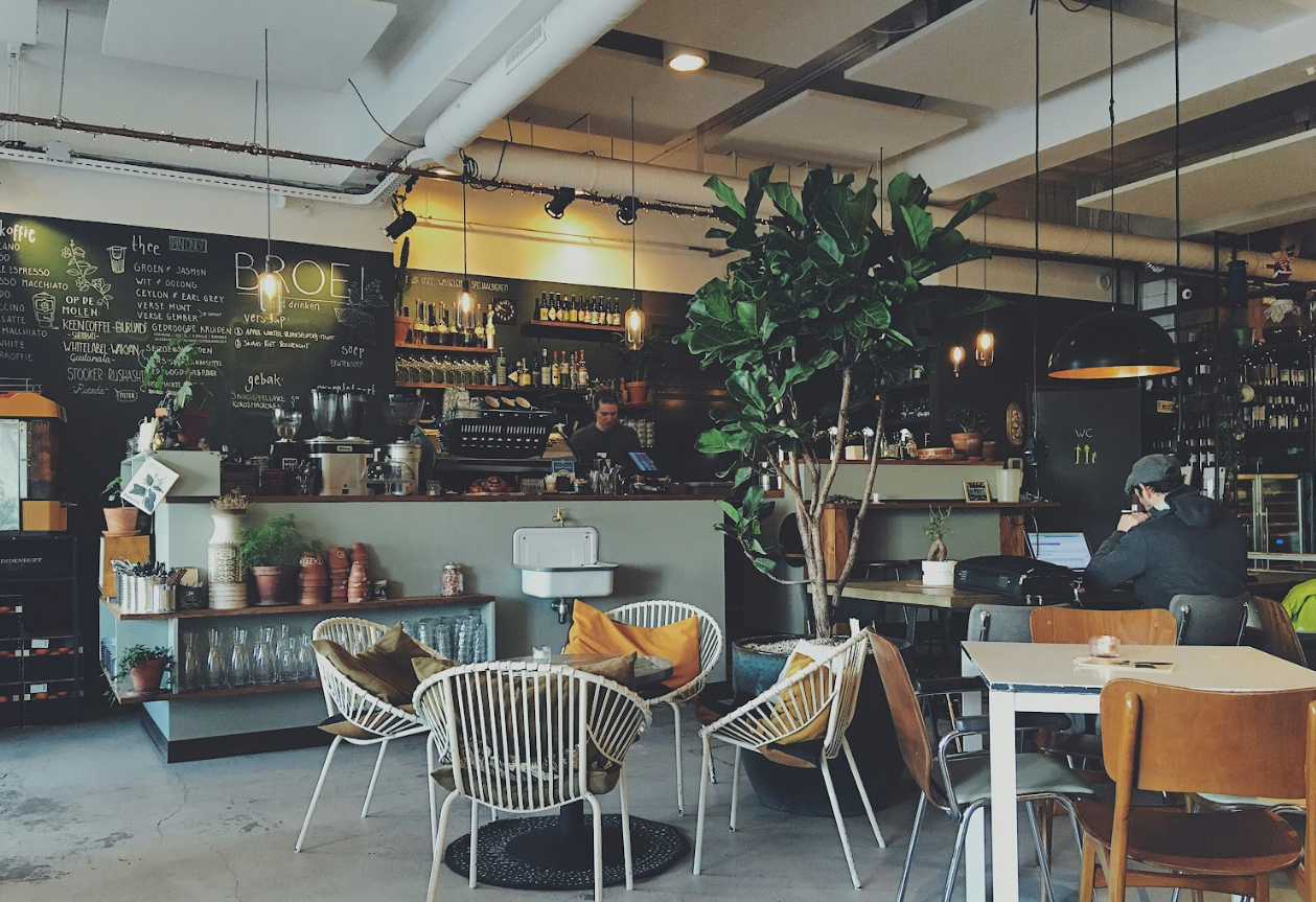 Interior of a modern cafe with tables, chairs, and a large plant.